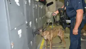 Apoyan a sector industrial en Nogales