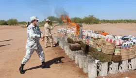 Incineran casi dos toneladas de drogas