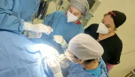 Realizan sexta donación multiorgánica en Sonora