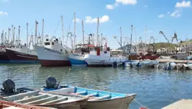 Sólido sector agroalimentario