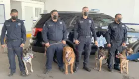 Reconocen a agentes caninos