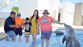 Reanuda actividades Delfinario