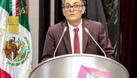 Deberán constructoras plantar árbol en viviendas