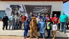 Fortalecen campaña de esterilización