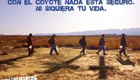 Inhibe Covid-19 cruce de migrantes en 2020