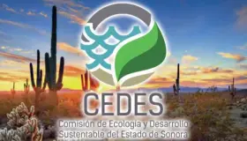 Convocan a proyectos ambientalistas