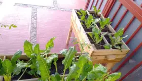 Promueve Alcalde programas sociales