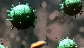 Anuncian cierre económico en Estados