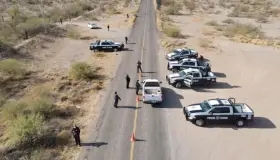 Realizan batida contra delincuente