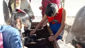 Llevan Sembrando Vida a Los Tápiros