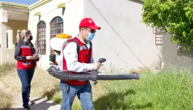 Incrementan casos de sanitización