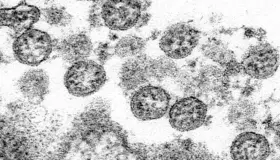 Dejan celebraciones graves consecuencias