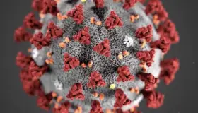 Continúa amenaza de contagios