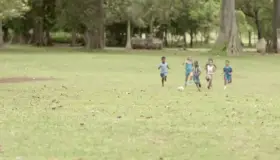 Impacto negativo por el Coronavirus