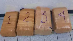 Detenidos con 240 kilos de marihuana