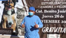 Permanentes campañas de esterilización en colonias