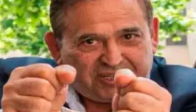 Ancira queda en libertad, si devuelve el dinero: OSC.