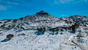 Necesaria compra del Centauro se pueden ahorrase 53.8 MDP