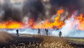 Alertan por temporada de incendios forestales