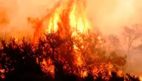Los vientos y rachas de calor detonan incendios