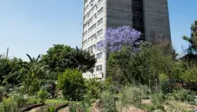 Huertos urbanos, alternativas contra el calor de las ciudades