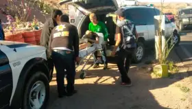 Dan atención y servicio en paseos campestres
