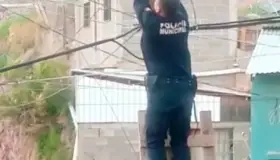 Exhortan a la comunidad se denuncie el maltrato animal