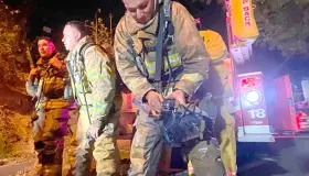 Esperan Bomberos de Nogales ser vacunados