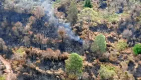 Liquidan en un 90% incendio en El Tepozteco