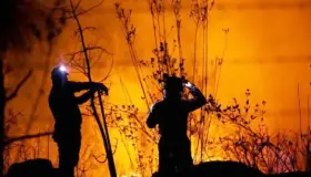 Contabilizan 92 incendios forestales en México