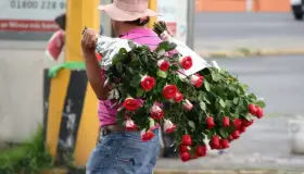 Evitarán competencia desleal entre floristas
