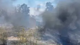 Retoman iniciativa para creación de comisión especial de La Sauceda