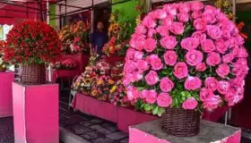 Esperan vender más el Día de las Madres