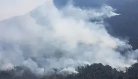 ¡Alertan! Incendio en Cerro de la Cruz está fuera de control