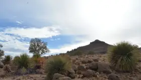 Concretan negociación del Centauro de la Frontera