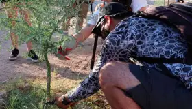 Imparten taller para cuidar Árboles nativos