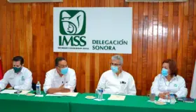 Tiene IMSS en sonora nueva representante