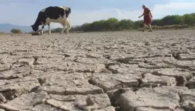 Solicita Congreso enfrentar sequía