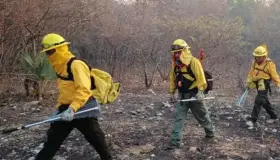 ¡Arde Durango! Registra 21 incendios forestales activos