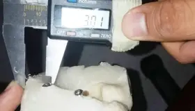 Desarrolla IPN prótesis a base de polimeros para cadera