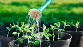 Invitan a reciclar agua de uso común