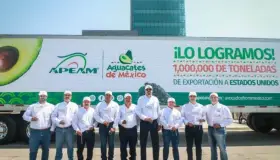 Aumenta exportación de aguacate mexicano; rompe récord de envíos a EU