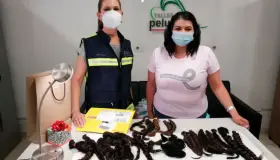 Donan pelucas oncológicas