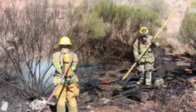 Insiste CMPC evitar fogatas