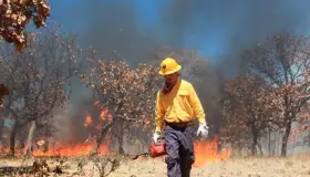 Llama Conafor evitar incendios forestales