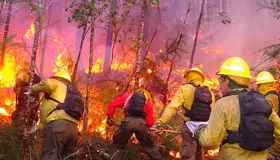 Aumentan incendios forestales