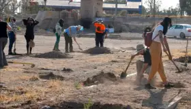 Realizan jornada de reforestación