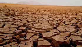 Aumentará temperatura tres grados el cambio climático