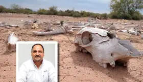 Preocupa situación de sequía