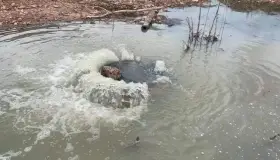 Genera fuga de aguas negras, basura en pozo